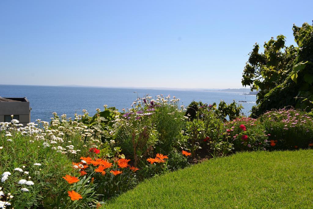 Azulpacifico Hotel Boutique Конкон Экстерьер фото
